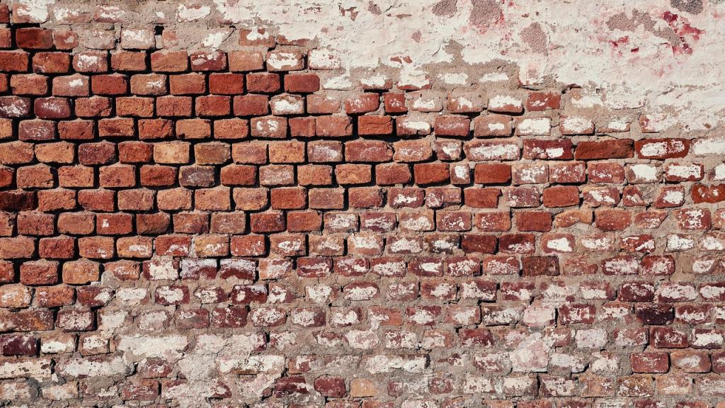 Antipoema maestro (albañil) − Daniel Olivares&nbsp;Viniegra