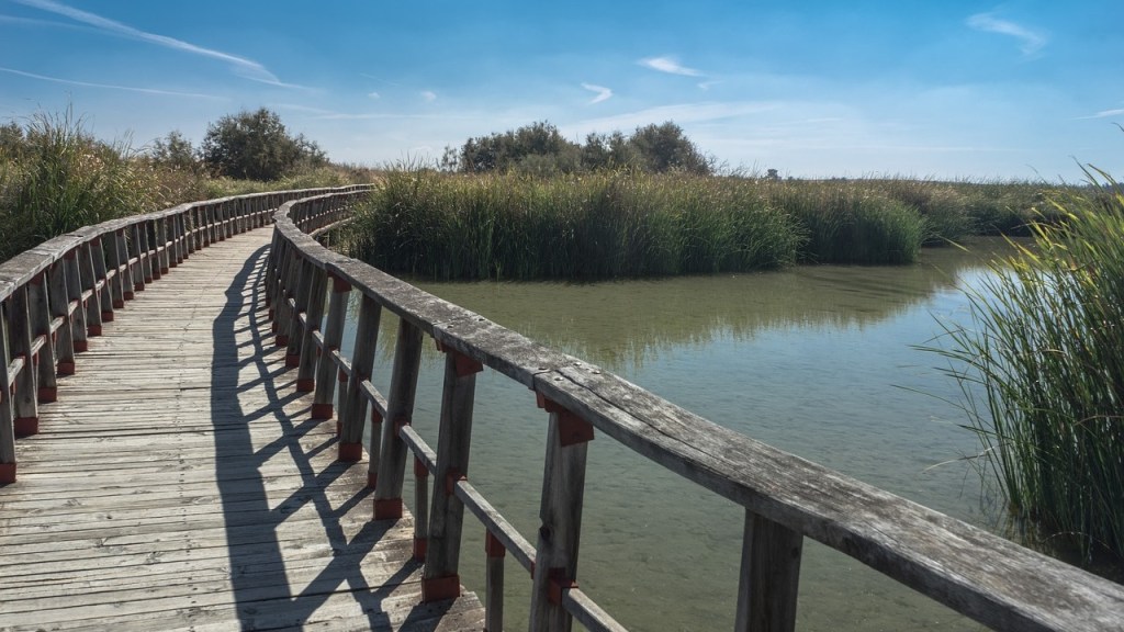 Antipoema plenipotenciario – Daniel Olivares&nbsp;Viniegra