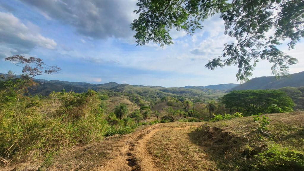 Canción II − Mario Guzmán