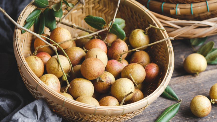 Antipoema coyolito − Daniel Olivares Viniegra 