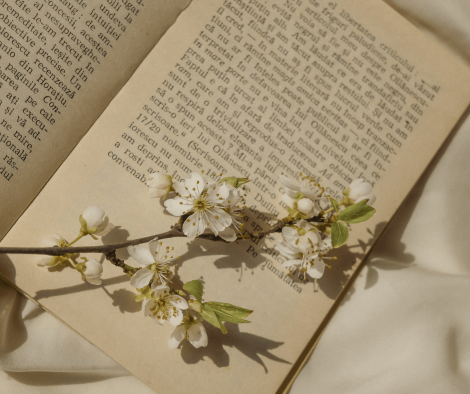 Poesía – Alejandra&nbsp;Graciela