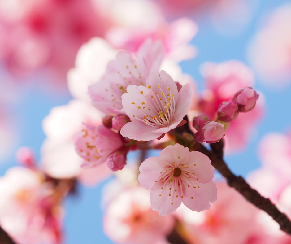 Abril − Paola&nbsp;Moreno