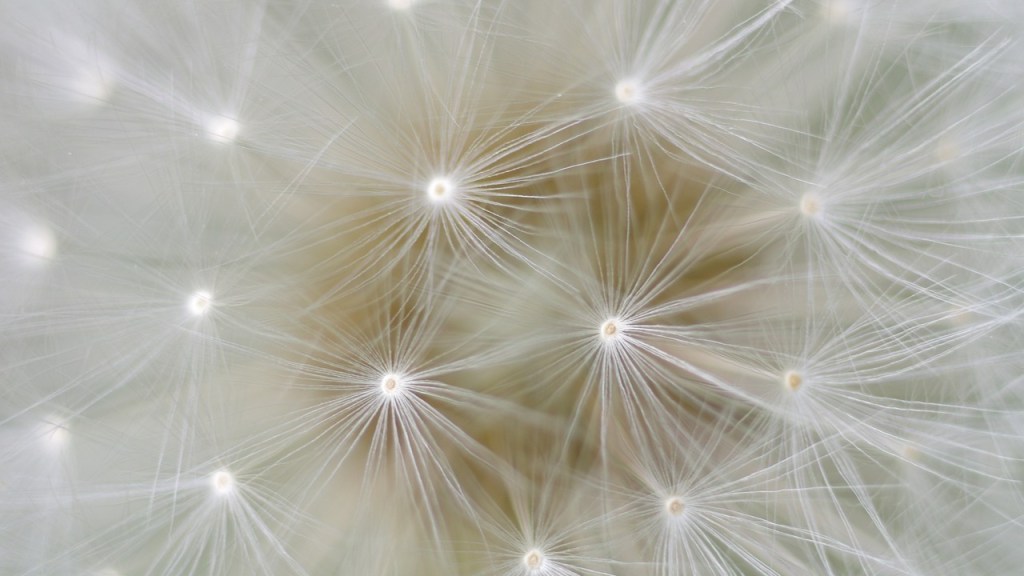 TAC / Escáner − Daniel Olivares Viniegra