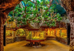 En mitad de la noche − Eduardo Ramírez&nbsp;Moyano