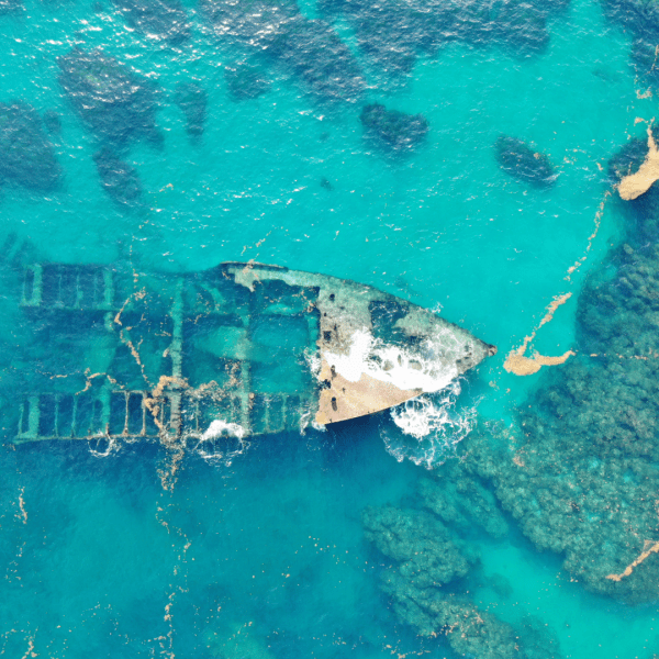 Sentimientos estáticos − Olivia&nbsp;Justo